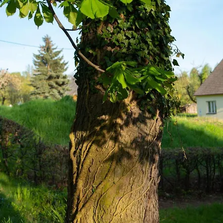 Mit Wasserblick By Interhome Hébergement de vacances Cracovie