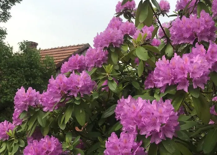 Dom wakacyjny Mit Wasserblick By Interhome Kraków