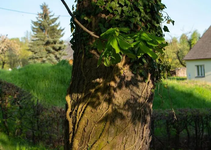 Mit Wasserblick By Interhome Casa vacanze Cracovia